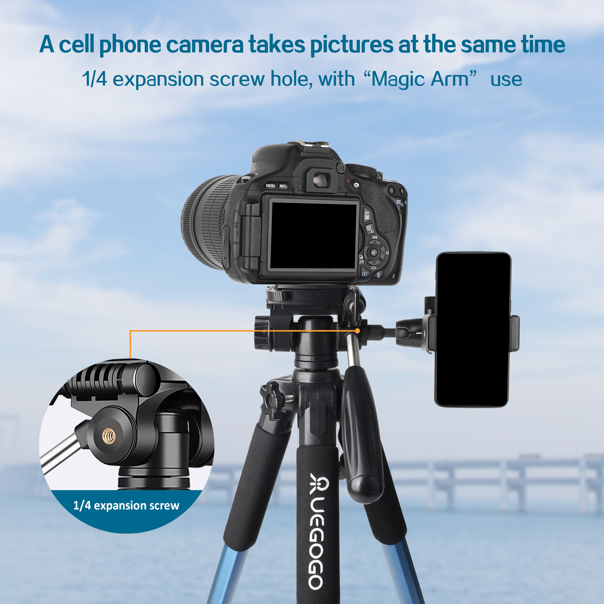 Treppiede Professionale per Fo - Projector Carrying Bag recensione e prezzo