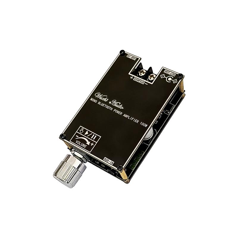Modulo Amplificatore Audio Blu - Home Cinema Choice recensione e prezzo